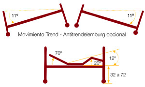 Angulos cama articulada aneto