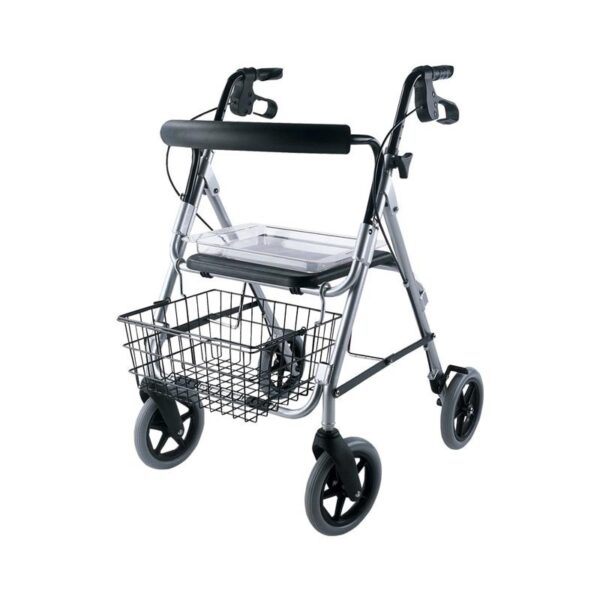 Andador RL120