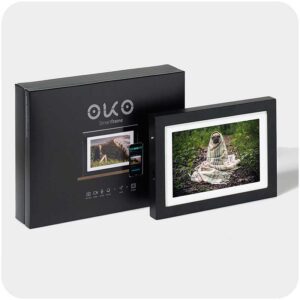 608020010-2