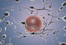 Dra. Miren Mandiola, directora del Laboratorio de Reproducción Asistida del Hospital de Día Quirónsalud Donostia: «Preservar la fertilidad permite a la mujer conciliar maternidad y proyectos personales»