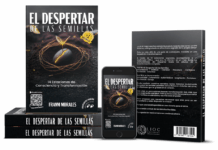 Franm Morales alcanza el #1 en Amazon con su libro ‘El despertar de las semillas’ convirtiendo las caídas en un acto de renacimiento personal