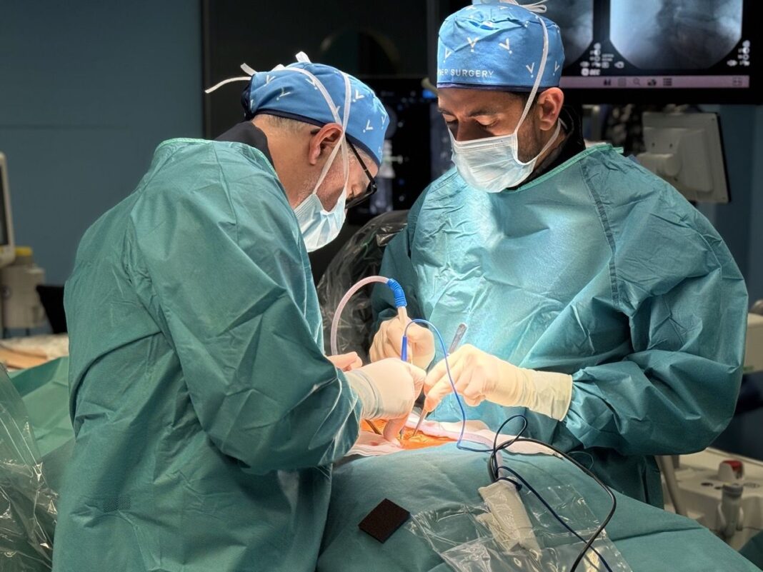 Robot-Alaya-3-en-tamano-grande