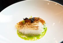 El Gran Viaje del Norte: arranca la ansiada temporada del bacalao Skrei, la joya nómada de Noruega