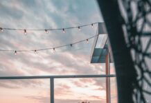 Casi la mitad de los dueños de mascotas sufre ansiedad por separarse de ellas y un 41% renunciaría a parte de su sueldo por no dejarlas solas